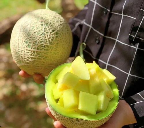 吃瓜娱乐718吃瓜网,718吃瓜网带你畅游吃瓜盛宴