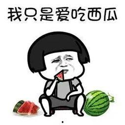 吃娱乐圈的瓜多的后果,揭秘过度追星背后的代价