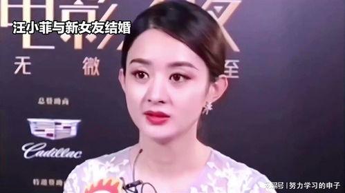 娱乐八卦吃瓜赵丽颖小说