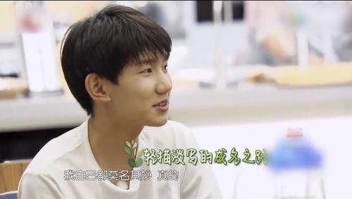 娱乐吃瓜酱王源在线观看,娱乐吃瓜酱带你领略明星魅力