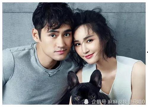 娱乐吃瓜小8,娱乐圈幕后大事件，吃瓜群众必看！